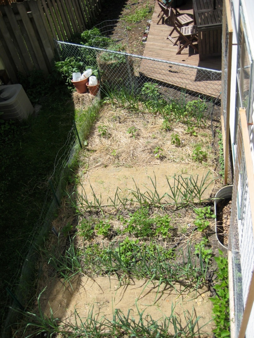 another view of the garden from above